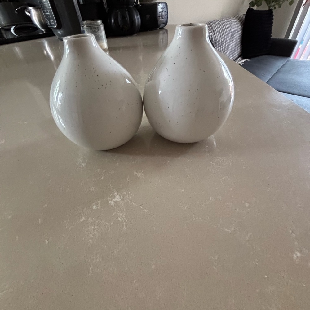 Elegant White Ceramic Vases